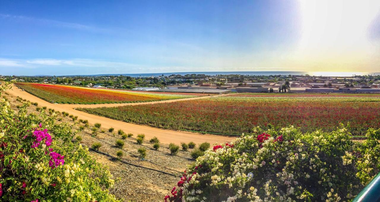 קארסלבד Grand Pacific Palisades Resort מראה חיצוני תמונה
